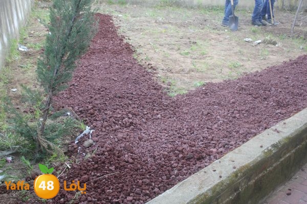 zohormasjednoor34 (39).JPG